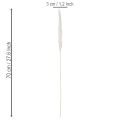 Pampasgras Trockenblumen gebleicht 70 cm Creme 15 Stiele für Innenbereich | Floristik24.at