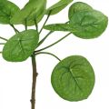 Floristik24 Peperomia Künstliche Grünpflanze mit Blättern 30cm