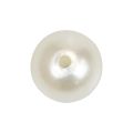 Floristik24 Perlen zum Auffädeln Bastelperlen Creme Weiß 12mm 300g