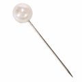 Perlkopfnadeln Kunststoff Champagner Ø20mm Länge 90mm 6 Stück | Floristik24.at