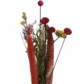 Floristik24 Trockenblumen Strauß mit Wiesenblumen Rosa DIY-Set H30-35cm
