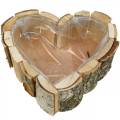 Floristik24 Pflanzgefäß, Holzschale Herzform, Pflanzkasten aus Birkenholz, Herzschale 27×28cm