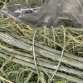 Deko Herz aus Naturgras mit Folie 14 cm grün 2 Stück | Floristik24.at