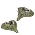 Floristik24 Pflanzherz aus Naturmaterial mit Folieneinsatz 22cm Grün 2er-Set