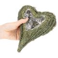 Pflanzherz aus Naturmaterial mit Folieneinsatz 22cm Grün 2er-Set | Floristik24.at