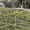 Pflanzherz aus Naturmaterial mit Folieneinsatz 22cm Grün 2er-Set | Floristik24.at