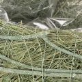 Herzschale aus Naturgras mit Folie zum Bepflanzen 38cm grün | Floristik24.at