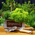 Floristik24 Pflanzkasten “Grünzeug”, Übertopf, Gartendeko aus Holz Weiß gewaschen, Edelrost L35cm H12cm