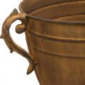 Pflanzkübel Rost Optik Pokalvase Metall Ø22,5cm H32,5cm | Floristik24.at