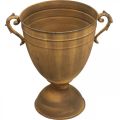 Pflanzkübel Rost Optik Pokalvase Metall Ø22,5cm H32,5cm | Floristik24.at
