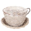 Floristik24 Korb-Tasse mit Unterteller, Weide, Weiß-Grau, 34cm