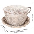 Korb-Tasse mit Unterteller, Weide, Weiß-Grau, 34cm | Floristik24.at
