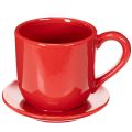 Tasse mit Unterteller aus