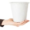 Pflanztopf Metall Weiß Ø15,5cm H14,5cm mit Ornamenten | Floristik24.at