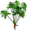 Floristik24 Philodendron Pflanze künstlich Grün 58cm