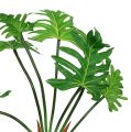 Floristik24 Philodendron Pflanze künstlich Grün 58cm