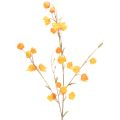 Floristik24 Lampionblume künstlich Physalis-Zweig mit Blüten 95 cm Orange für den Innenbereich