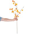 Lampionblume künstlich Physalis-Zweig mit Blüten 95 cm Orange für den Innenbereich | Floristik24.at
