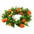 Physalis Kranz künstlich Orange, Grün Ø28cm Herbstdeko | Floristik24.at