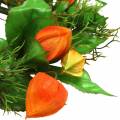 Physalis Kranz künstlich Orange, Grün Ø28cm Herbstdeko | Floristik24.at