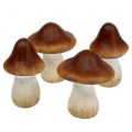 Floristik24 Pilz Mix aus Ton-Keramik Braun 9cm 8St