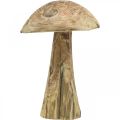 Floristik24 Pilz, Paulownia Holz, Herbst, Holzdeko Ø18–20cm H28cm