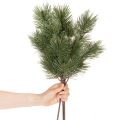 Künstlicher Kiefernzweig 55cm grün 3er-Set für Dekoration | Floristik24.at
