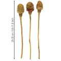 Platyspermum Köpfe mit Stiel Creme 5-7,5 cm, 50 Stück aus Holz | Floristik24.at