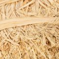 Raffiabast Naturbast Bündel 1kg für Floristik und Geschenkdekoration | Floristik24.at