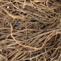 Rebenkranz 25 cm aus Naturmaterial zum Basteln und Dekorieren | Floristik24.at