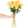 Künstliche gelbe Rose mit langem Stiel 62cm 12er-Set | Floristik24.at