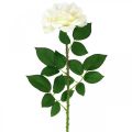 Floristik24 Seidenblume, Rose am Stiel, Kunstpflanze Cremeweiß, Rosa L72cm Ø13cm