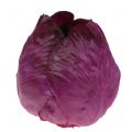 Floristik24 Rotkohl künstlich Real-Touch Kunststoff Ø12cm Lila Dekoration