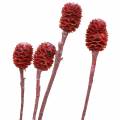 Dekozweige Sabulosum Rot gefrostet 4-6 25St