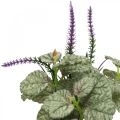 Floristik24 Künstliche Seidenblumen, Salbei im Bund, Salbei Seidenblume Violett L28cm 4St
