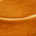 Samtband aus Polyamid 20mm x 10m Orangebraun für Dekoration und Verpackung | Floristik24.at
