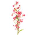Floristik24 Künstlicher Blütenzweig Oncidium Orchidee 112cm Pink 3er Set