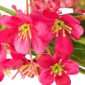 Künstlicher Blütenzweig Oncidium Orchidee 112cm Pink 3er Set | Floristik24.at