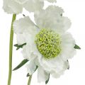 Skabiose Kunstblume Weiß Gartenblume H64cm Bund mit 3St
