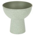 Floristik24 Pflanzschale aus Metall mit hohem Fuß, rund, 18 cm, hellgrün