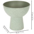 Pflanzschale aus Metall mit