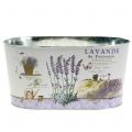 Floristik24 Pflanzschale Lavendel oval 22,5cm x 13,5cm H11cm