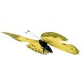 Floristik24 Schmetterling Gelb am Clip 11cm 6St
