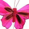 Floristik24 Federschmetterling mit Draht 7cm Rosa Lila 24St