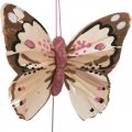 Floristik24 Federschmetterlinge, Deko-Schmetterlinge am Stab, Blumenstecker Rosa, Orange, Violett, Braun, Blau, Beige 6×8cm 12St