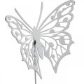 Floristik24 Blumenstecker Schmetterling, Gartendeko Metall, Pflanzenstecker Shabby Chic Weiß, Silbern L51cm 3St