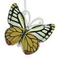 Floristik24 Schmetterling zum Hängen bunt sortiert 5,5cm 3St