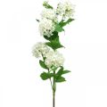Schneeball-Zweig, künstlichen Pflanze, Seidenblume Weiß Ø6,5cm L78cm