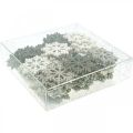 Floristik24 Schneeflocke Natur, Weiß Glimmer Mix Ø4cm 72St