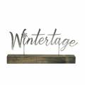 Floristik24 Weihnachtsdeko „Wintertage“ auf Sockel Silbern Metall, Holz 29×5cm H14,5cm